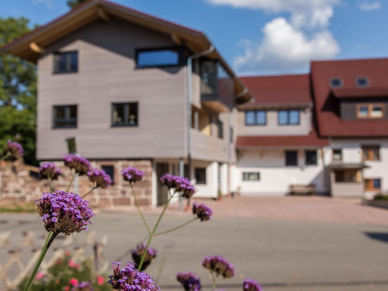 Saunaloft Schwarzwald Gemeinde Gemeinde Aichhalden Eksteriør billede